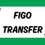 Luis Figo Transfer