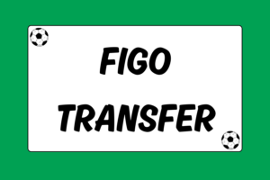 Luis Figo Transfer