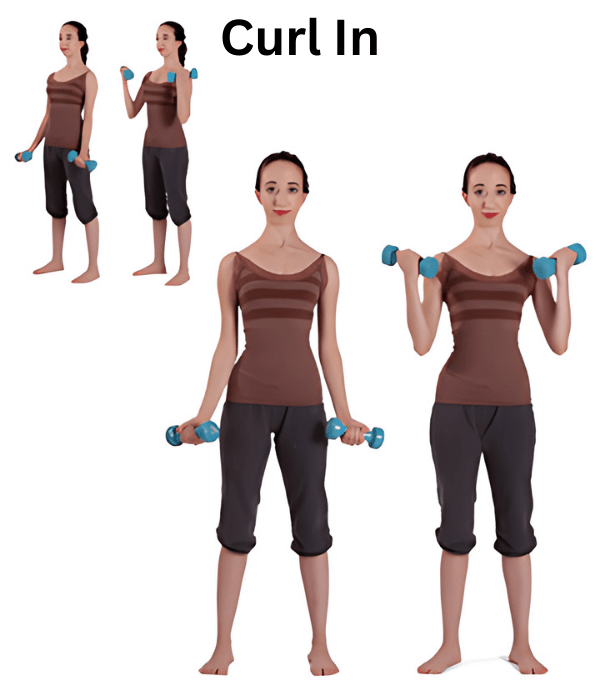 Curl In Exercise