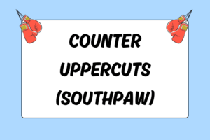 How to Counter Uppercuts as a Southpaw