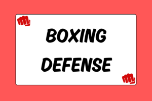 Basic Boxing Defense for MMA