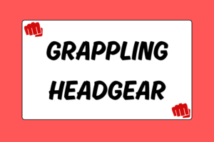 How to Choose Grappling Headgear for MMA