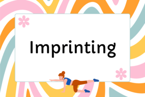 How to Do Imprinting in Pilates